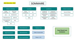 CHUTOULOUSE_ Pédiatrie_12/2025