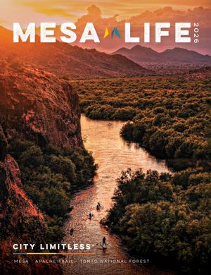 2026 Mesa Life Visitor Guide
