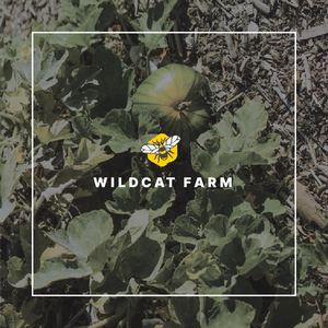 1 Wildcat Farm Branding 10x10 Rasterizedx