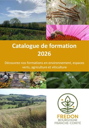 Catalogue formations