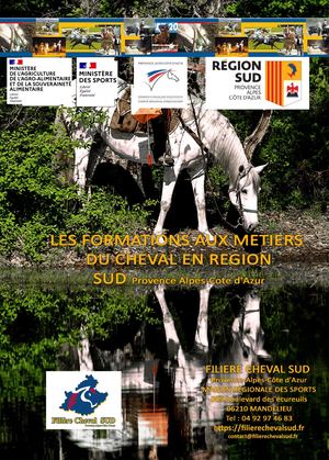 Catalogue des formations aux métiers du cheval - Région Sud 2026