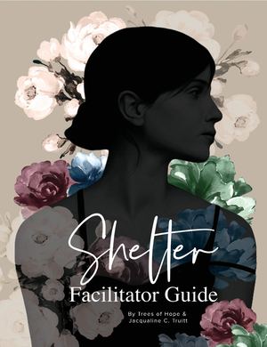 Shelter From The Storm Facilitator Guide