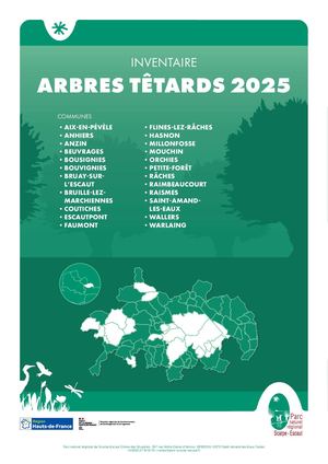 Atlas des arbres têtards 2025
