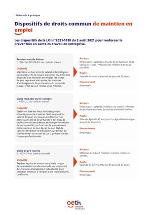 Les Dispositifs De Maintien En Emploi