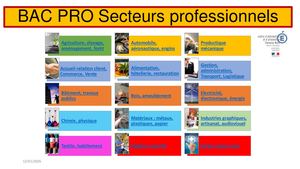 Bac Pro Par Secteurs Professionnels Liens Onisep Avril 2024