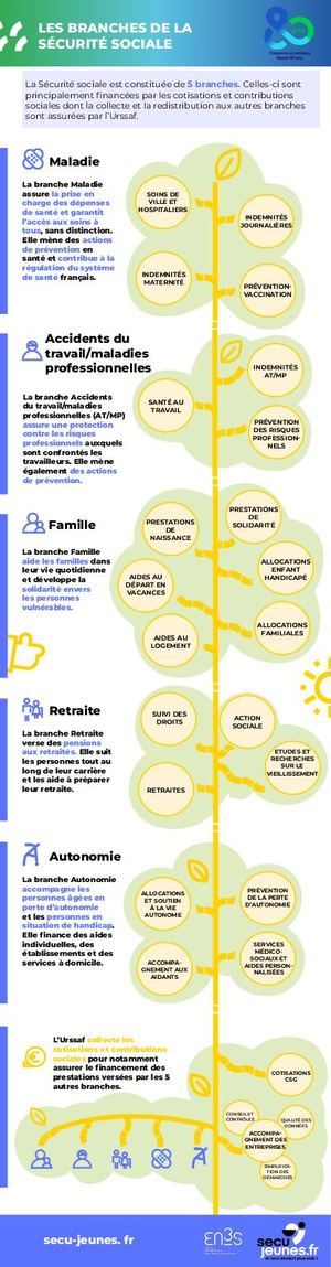 Infographie Les Branches de la Sécurité sociale