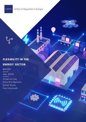 Flexibility in the Energy Sector