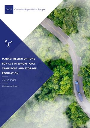 Market Design Options for CCS in Europe: CO2 Transport and Storage Regulation