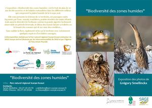 Biodiversité des zones humides