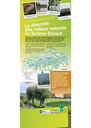 Diversité des milieux naturels en Scarpe-Escaut