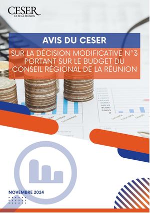 Avis du CESER sur la décision modificative n°3 portant sur le budget du conseil régional de La Réunion - novembre 2024