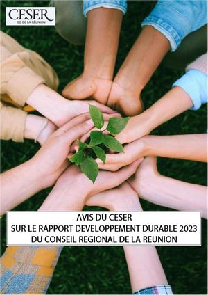 Avis du CESER sur le rapport développement durable 2023 du conseil régional de La Réunion - novembre 2024