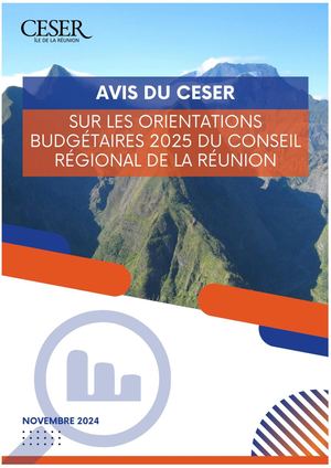 Avis du CESER sur les orientations budgétaires 2025 du conseil régional de La Réunion
