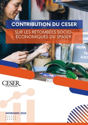 Contribution du CESER sur les retombées socio-économiques du SPASER