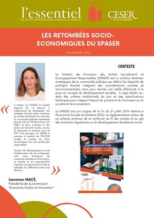 L'essentiel de la contribution sur les retombées socio-économiques du SPASER