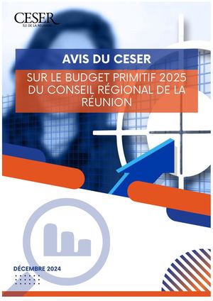 Avis du CESER sur le budget primitif 2025 du conseil régional de La Réunion - décembre 2024