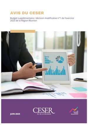 Budget supplémentaire, décision modificative n°1 de l'exercice 2025 de la région Réunion - Avis du CESER - juin 2025