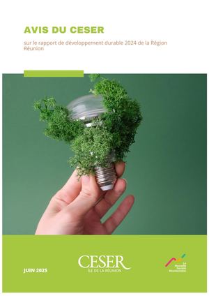 Avis sur le rapport de développement durable 2024 de la région Réunion - juin 2025