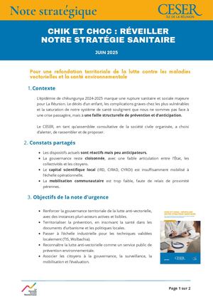 Note stratégique « Chik et choc : réveiller notre stratégie sanitaire » - juin 2025