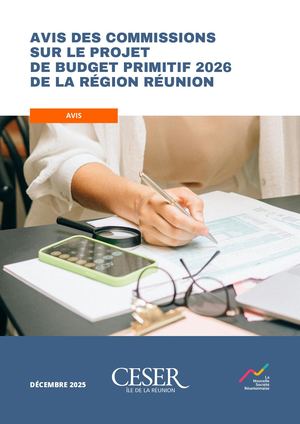 Avis sur le projet de budget primitif 2026 de la région Réunion - décembre 2025