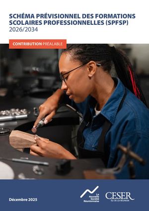 Contribution préalable au schéma prévisionnel des formations scolaires professionnelles (SPFSP) 2026-2034 - décembre 2025