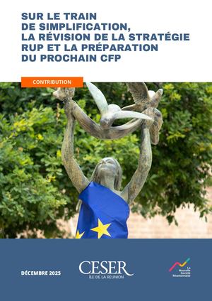 Sur le train de simplification, la révision de la stratégie des régions ultra-périphériques (RUP) et la préparation du prochain cadre financier pluriannuel (CFP) - contribution - décembre 2025