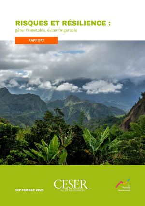 Risques et résilience : gérer l'inévitable, éviter l'ingérable - rapport - septembre 2025
