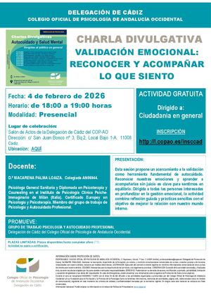 2026 02 04 Id 1028 Ficha Difusión Validación Emocional