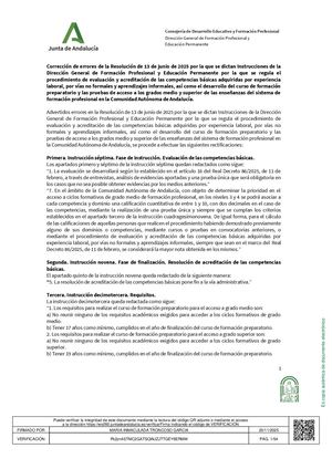 Resolucion13junio2025correccion Errores