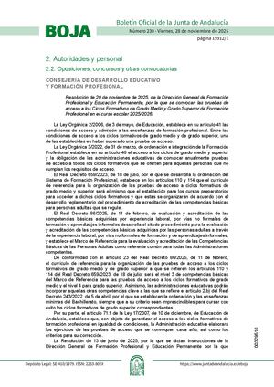 Resolucion20noviembre2025pruebas Acceso Cfgrado Superior