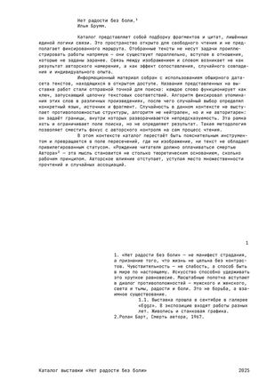 Каталог выставки Ильи Брумм. «Нет радости без боли»¹
