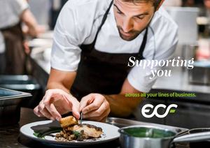 ECF Corporate Presentation (English version)