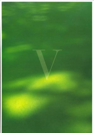 Carte - Restaurant La Veranda -FR-GB