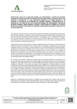 Instruccion11 2025amplia Permisos Nacimiento