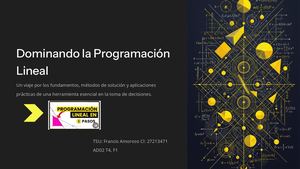 Dominando La Programacion Lineal