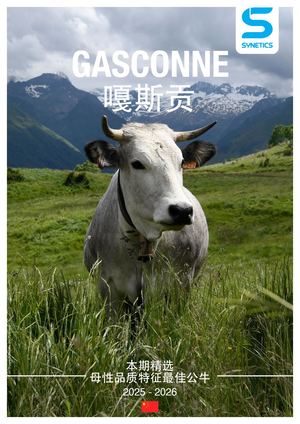 CHI Plaquette Gasconne 2025 FENG