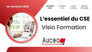 Visio Formation Inter - L'essentiel Du CSE