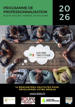 Programme Local De Professionnalisation