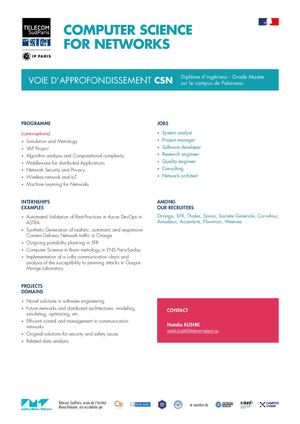 Option Computer Sciences for Networks