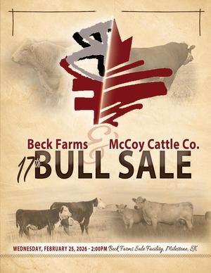 2026 Beck Farms & McCoy Cattle Co Bull Sale