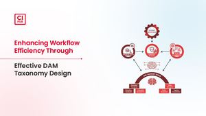 Enhancing Workflow Efficiency Through Effective Dam Taxonomy Design