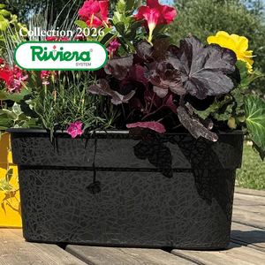 2026 Catalogue Riviera Web