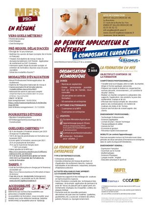 Mfr Pro V5 BP Peintre