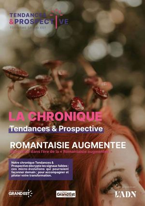 Chronique Romantaisie Augmentee