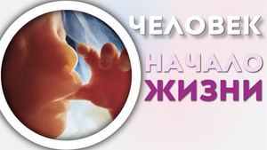 Человек - начало жизни