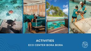 Calaméo - EN - ECO CENTER ACTIVITIES