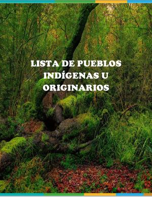 Revista Pueblos indígenas del Perú