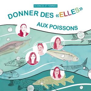 Donner Des Elles Aux Poissons