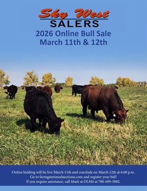 Sky West Salers 2026 Online Bull Sale - March 11th & 12th