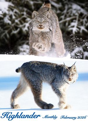 Highlander February 2026